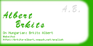 albert brkits business card